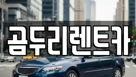 부산광역시 금정구 두구동 렌트카 전문 곰두리렌트카