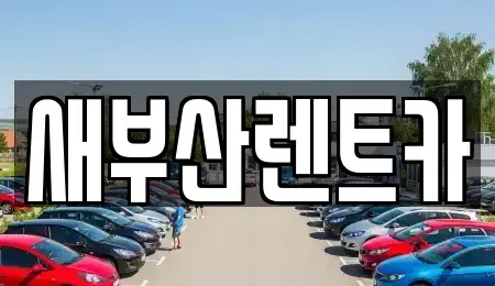 부산광역시 영도구 남항동2가 렌트카 전문 새부산렌트카