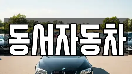 부산광역시 영도구 남항동2가 중고차매매 전문 동서자동차