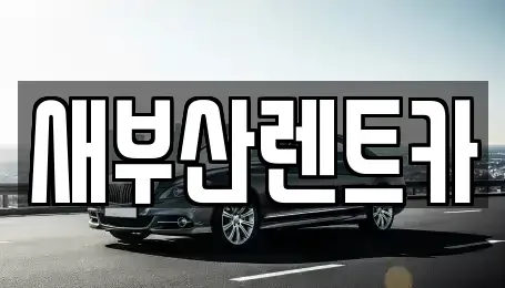부산광역시 영도구 봉래동1가 렌트카,단기렌트카,장기렌트카,중고차,중고차매매,중고차매입