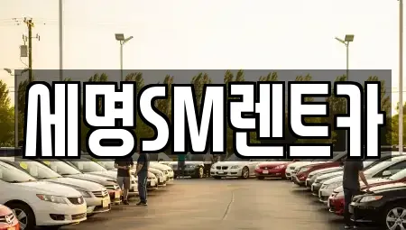 부산광역시 영도구 봉래동1가 렌트카 전문 세명SM렌트카