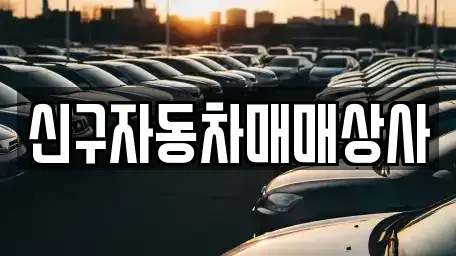 부산광역시 영도구 봉래동1가 중고차 전문 신구자동차매매상사