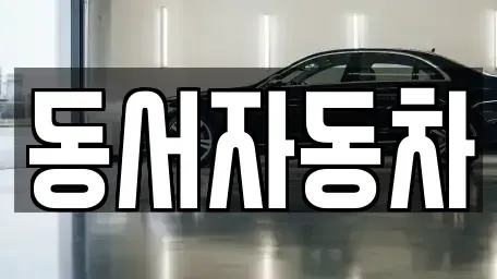 부산광역시 영도구 봉래동4가 중고차 전문 동서자동차