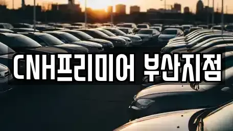 부산광역시 중구 중앙동2가 렌트카 전문 CNH프리미어 부산지점