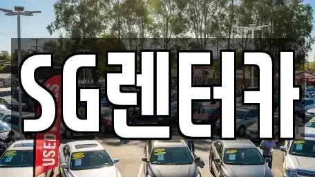 부산광역시 중구 중앙동2가 렌트카 전문 SG렌터카