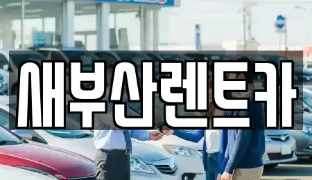 부산광역시 중구 중앙동2가 렌트카 전문 새부산렌트카
