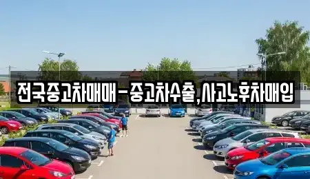 부산광역시 중구 중앙동2가 중고차 전문 전국중고차매매-중고차수출,사고노후차매입