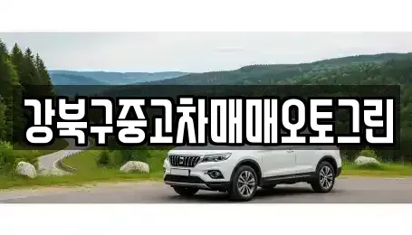 서울 강북구 중고차 전문 강북구중고차매매오토그린