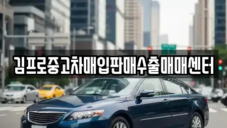 서울 강북구 중고차매입 전문 김프로중고차매입판매수출매매센터