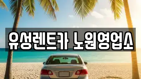서울 노원구 공릉동 렌트카 전문 유성렌트카 노원영업소