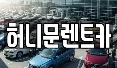 서울 노원구 공릉동 렌트카 전문 허니문렌트카