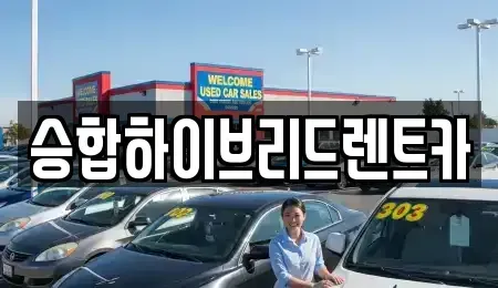 서울 노원구 공릉동 장기렌트카 전문 승합하이브리드렌트카