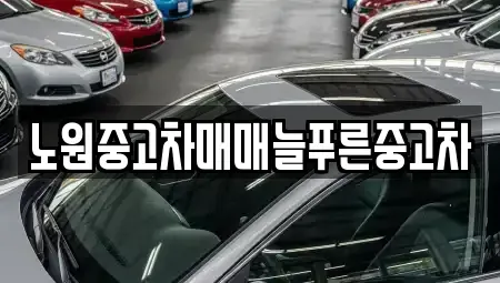 서울 노원구 공릉동 중고차 전문 노원중고차매매늘푸른중고차