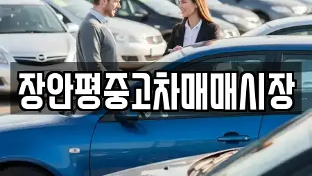 서울 노원구 공릉동 중고차 전문 장안평중고차매매시장