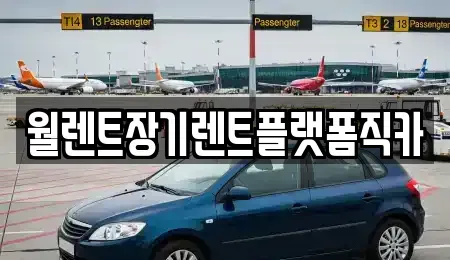 서울 노원구 상계동 장기렌트카 전문 월렌트장기렌트플랫폼직카