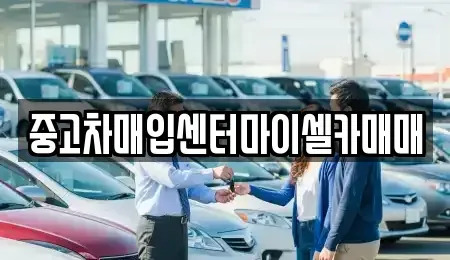 서울 노원구 상계동 중고차매입 전문 중고차매입센터마이셀카매매