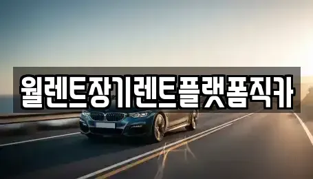 서울 도봉구 장기렌트카 전문 월렌트장기렌트플랫폼직카