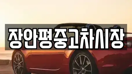 서울 도봉구 중고차매매 전문 장안평중고차시장