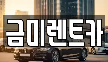 서울 마포구 구수동 렌트카 전문 금미렌트카