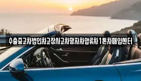 서울 마포구 구수동 중고차 전문 수출중고차법인차고장사고차망자차압류차1톤차매입센터