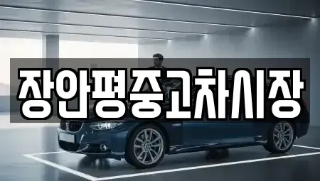서울 마포구 구수동 중고차 전문 장안평중고차시장