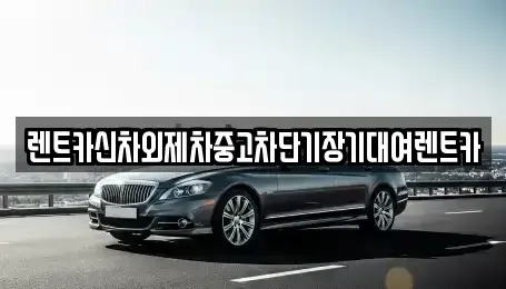 서울 마포구 아현동 단기렌트카 전문 렌트카신차외제차중고차단기장기대여렌트카