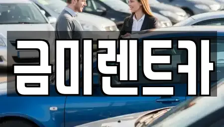 서울 마포구 아현동 렌트카 전문 금미렌트카