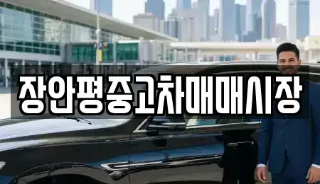서울 마포구 아현동 중고차 전문 장안평중고차매매시장