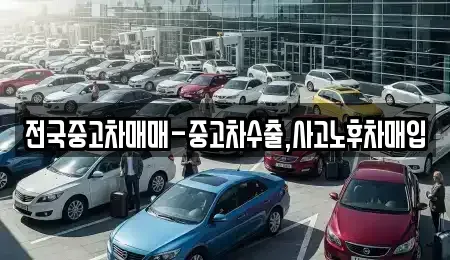 서울 마포구 현석동 중고차 전문 전국중고차매매-중고차수출,사고노후차매입