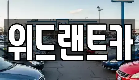 서울 서초구 신원동 렌트카 전문 위드랜트카