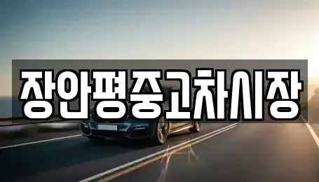 서울 서초구 신원동 중고차 전문 장안평중고차시장