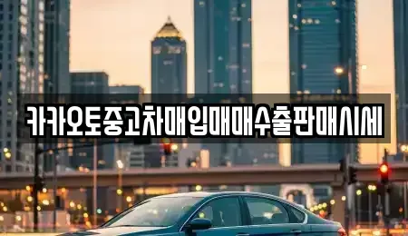 서울 서초구 신원동 중고차매입 전문 카카오토중고차매입매매수출판매시세