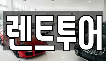 서울 서초구 양재동 장기렌트카 전문 렌트투어