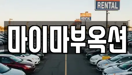 서울 서초구 양재동 중고차 전문 마이마부옥션