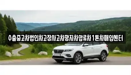 서울 서초구 양재동 중고차매입 전문 수출중고차법인차고장사고차망자차압류차1톤차매입센터