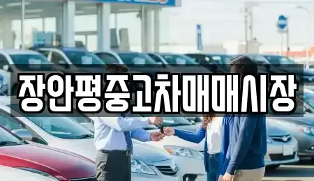 서울 성동구 사근동 중고차매매 전문 장안평중고차매매시장