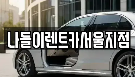 서울 성북구 삼선동5가 렌트카 전문 나들이렌트카서울지점