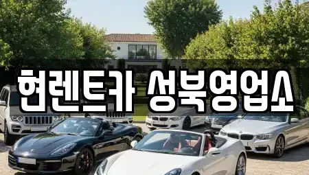서울 성북구 삼선동5가 렌트카 전문 현렌트카 성북영업소