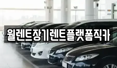 서울 성북구 삼선동5가 장기렌트카 전문 월렌트장기렌트플랫폼직카