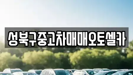 서울 성북구 삼선동5가 중고차매매 전문 성북구중고차매매오토셀카
