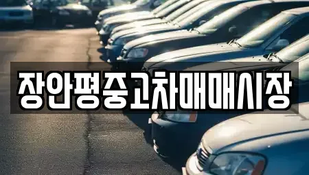서울 성북구 삼선동5가 중고차매매 전문 장안평중고차매매시장