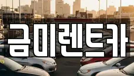 서울 영등포구 양평동2가 렌트카 전문 금미렌트카