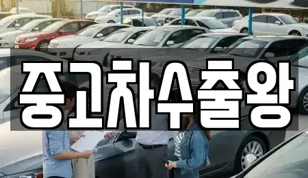 서울 영등포구 양평동2가 중고차 전문 중고차수출왕