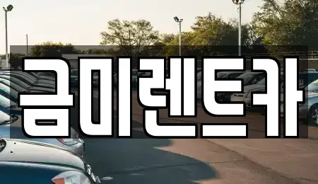 서울 영등포구 양평동5가 렌트카 전문 금미렌트카