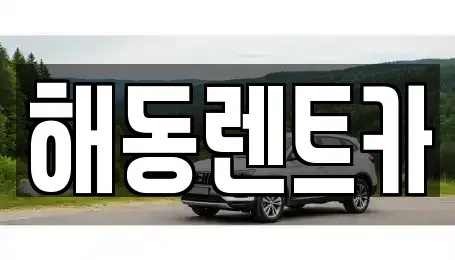 서울 영등포구 양평동5가 렌트카 전문 해동렌트카