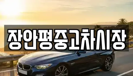 서울 영등포구 양평동5가 중고차 전문 장안평중고차시장