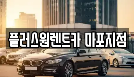 서울 용산구 원효로4가 렌트카 전문 플러스원렌트카 마포지점