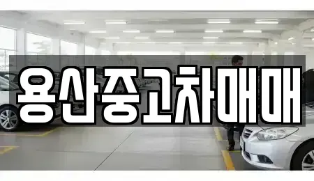 서울 용산구 원효로4가 중고차 전문 용산중고차매매