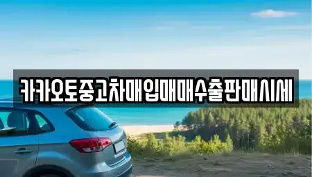 서울 용산구 원효로4가 중고차매입 전문 카카오토중고차매입매매수출판매시세
