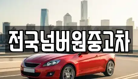 서울 용산구 청파동2가 중고차 전문 전국넘버원중고차